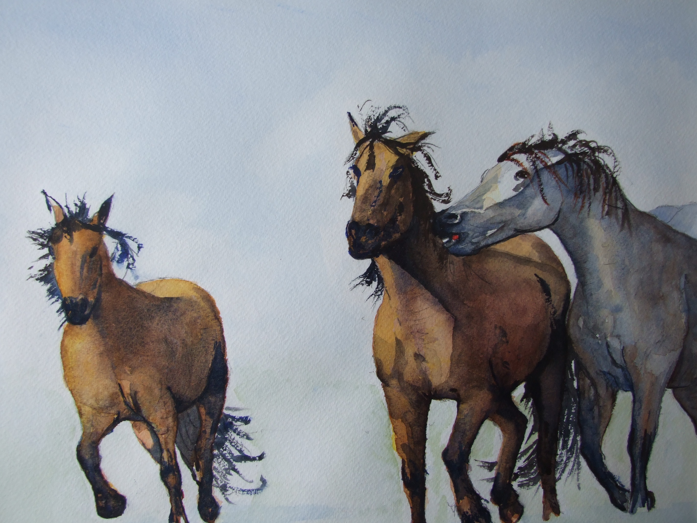 Wild_Horses