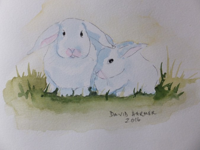 two white rabbits