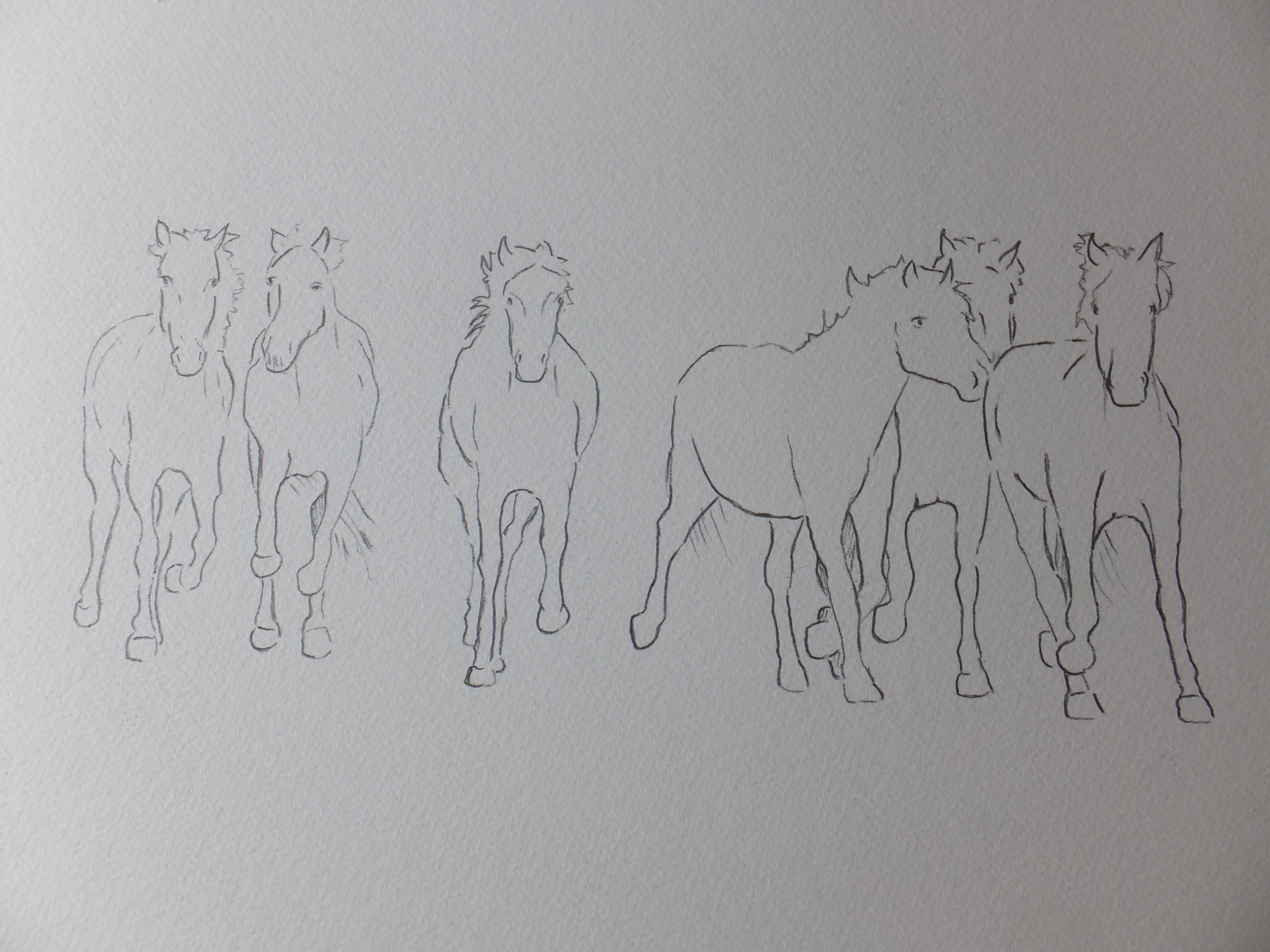 Line Drawing on Watercolour Paper