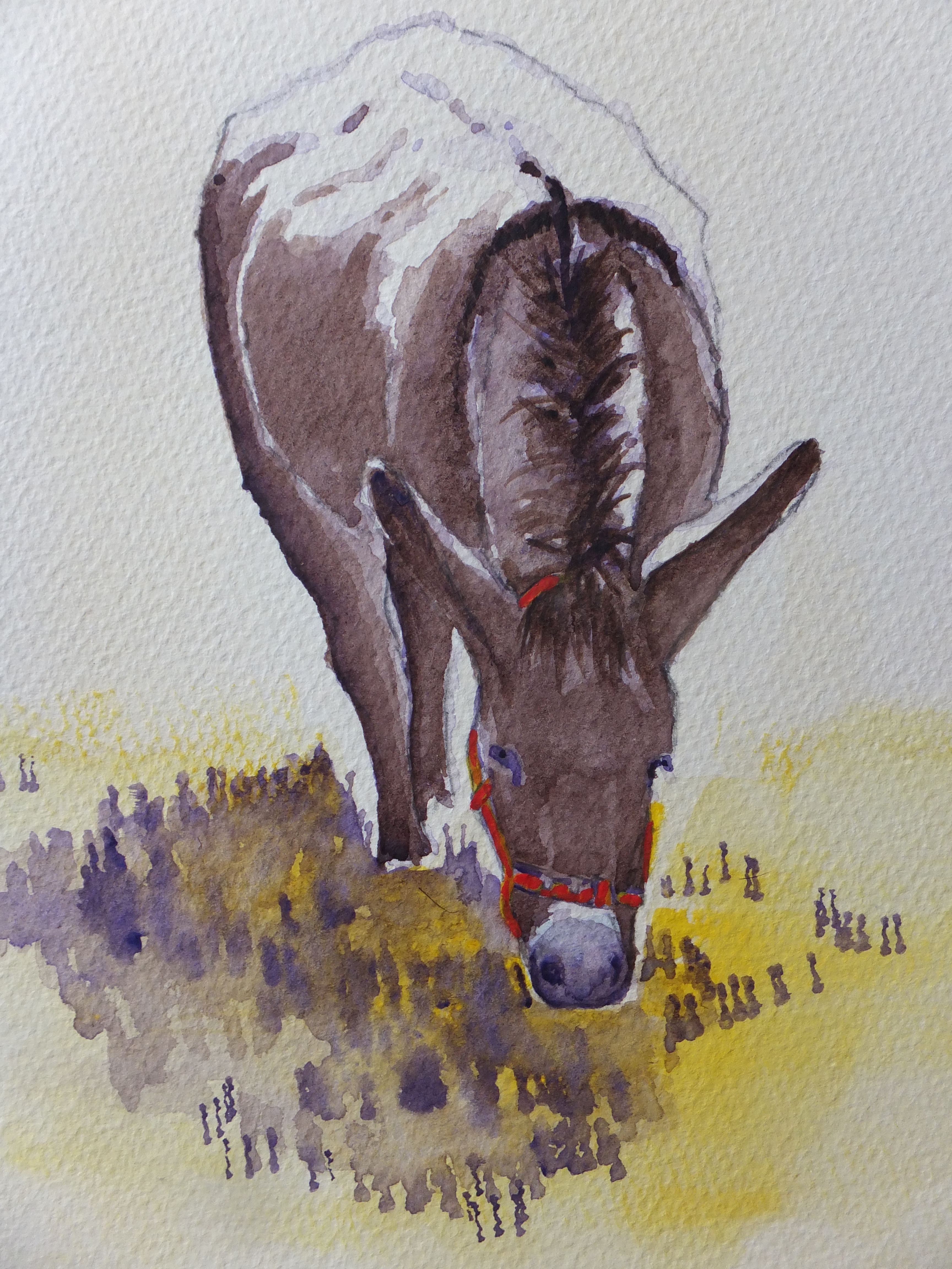 the-contented-donkey