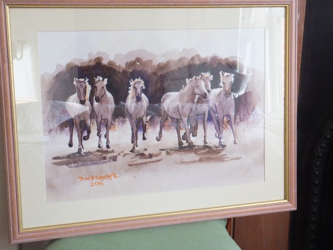 wild-horses-of-the-camargue-framed