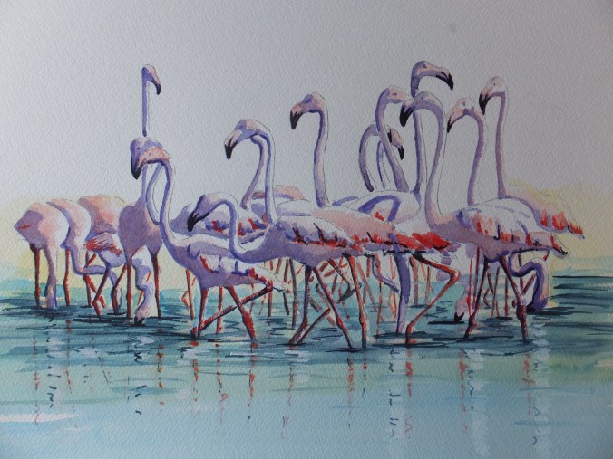 flamingos-in-the-camargue