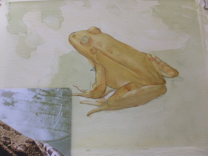 Little Frog Part Finished