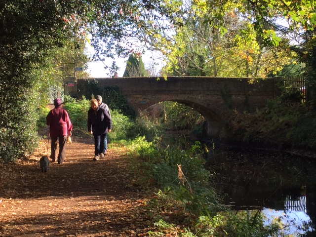 Basingstoke Canal Bridge